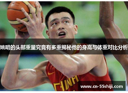 姚明的头部重量究竟有多重揭秘他的身高与体重对比分析